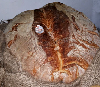u cappidde de prèvete
