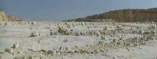 Altamura - cava delle orme dei dinosauri