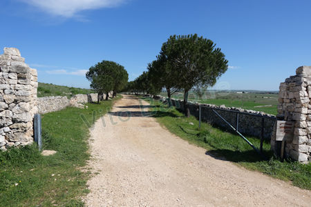 Centro visite Lamalunga