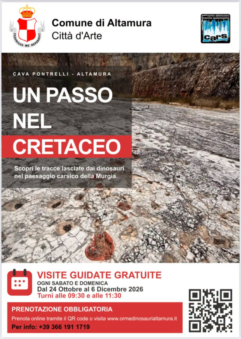 Cava Pontrelli. Orme dei dinosauri.