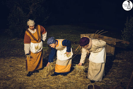 Presepe vicente Fortis Murgia 2019