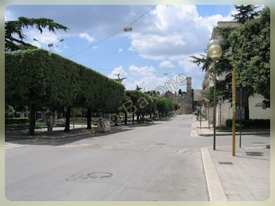 Altamura - viale Martiri