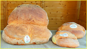 Il Pane di Altamura