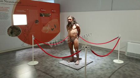 Ricostruzione dell'Uomo di Altamura