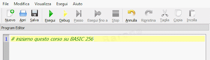 esempio cancelletto