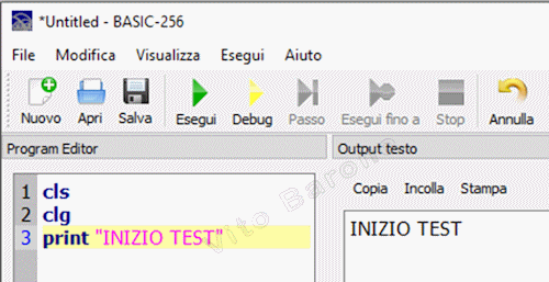 istruzione print