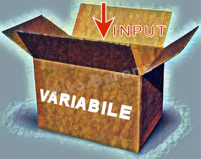 signioficato dell'istruzione input