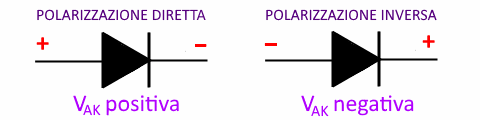 polarizzazione diretta e inversa