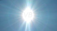 sole